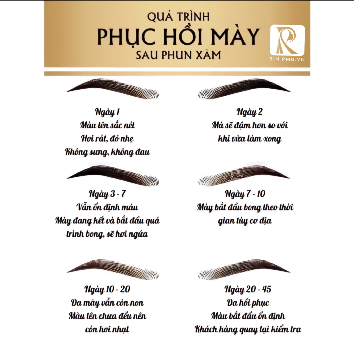 Quá Trình Phục Hồi Mày Sau Phun Xăm Diễn Ra Như Thế Nào?